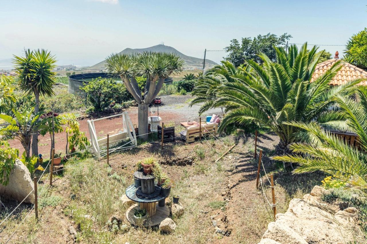 Apartamento B Armonia Rural グラナディージャ・デ・アボナ エクステリア 写真